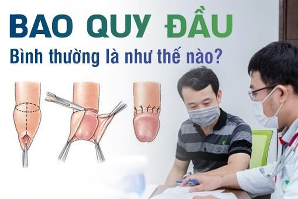 Bao quy đầu bình thường là như thế nào?