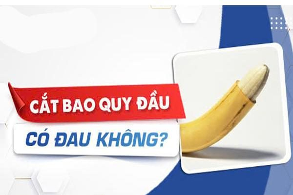 Cắt bao quy đầu có đau không?