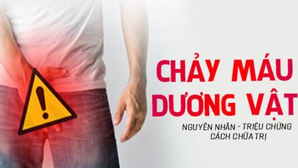 Chảy máu dương vật là bị bệnh gì?