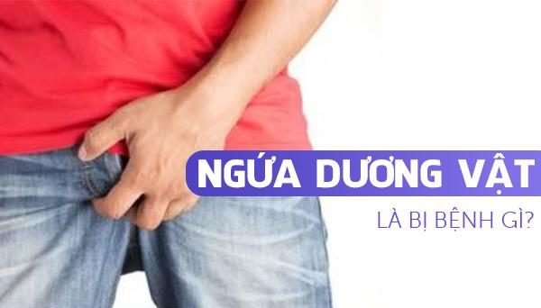 Ngứa dương vật là bị bệnh gì?