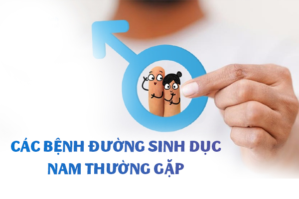 Các bệnh đường sinh dục nam thường gặp