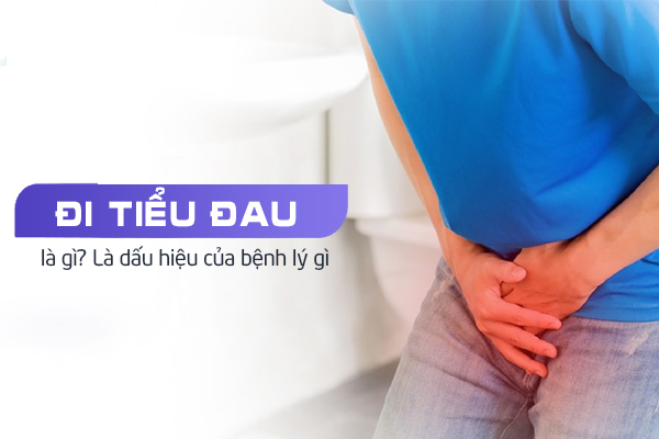 Đi tiểu đau là gì? Là dấu hiệu của bệnh lý gì?