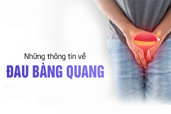 Những thông tin về đau bàng quang