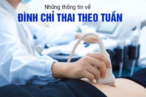 Những thông tin về đình chỉ thai theo tuần