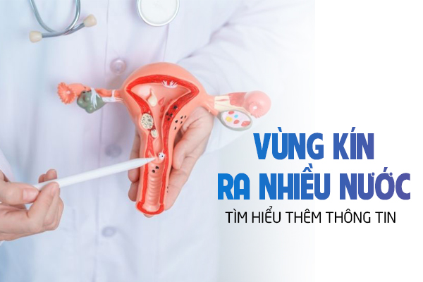 Những thông tin về vùng kín ra nhiều nước