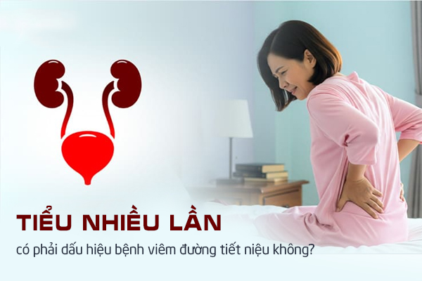 Tiểu nhiều lần có phải dấu hiệu bệnh viêm đường tiết niệu không?