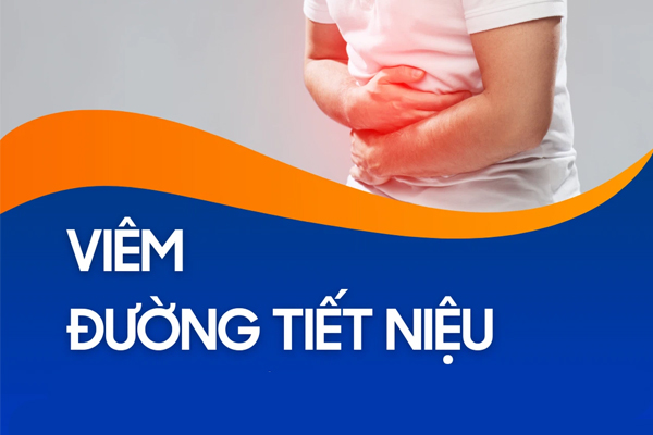 Tìm hiểu bệnh lý viêm đường tiết niệu