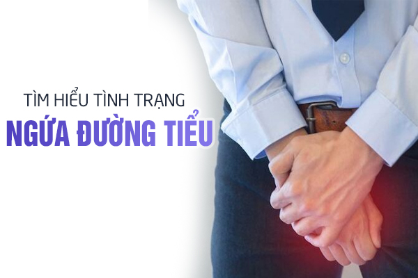 Tìm hiểu về tình trạng ngứa đường tiểu