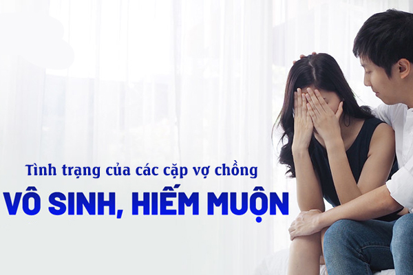 Tình trạng vô sinh hiếm muộn của các cặp vợ chồng