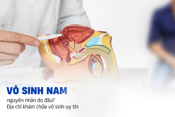 Vô sinh ở nam nguyên nhân do đâu? Địa chỉ khám chữa vô sinh uy tín