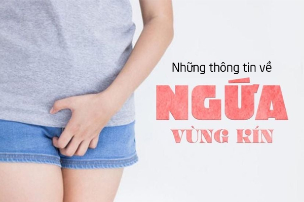 Những thông tin về ngứa vùng kín ở nữ
