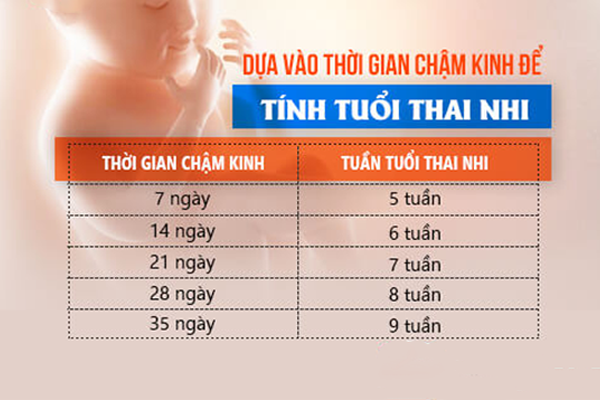 Chậm kinh bao nhiêu ngày biết có thai?