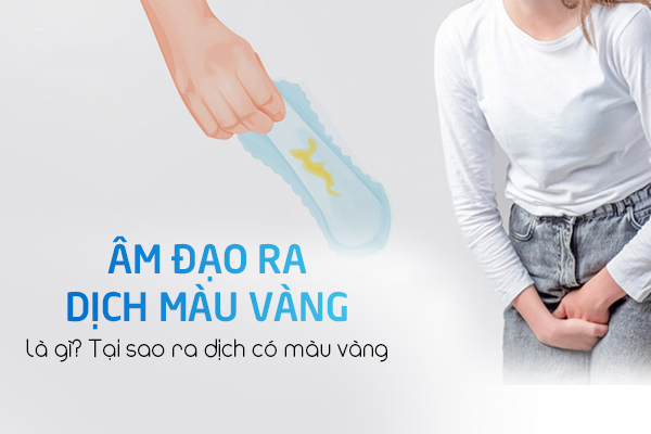 Âm đạo ra dịch màu vàng là gì? Tại sao ra dịch có màu vàng?